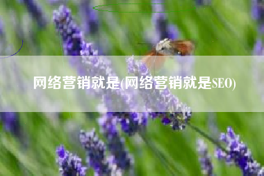 网络营销就是(网络营销就是SEO)