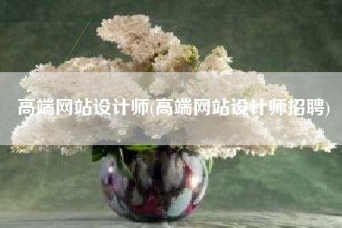 高端网站设计师(高端网站设计师招聘)