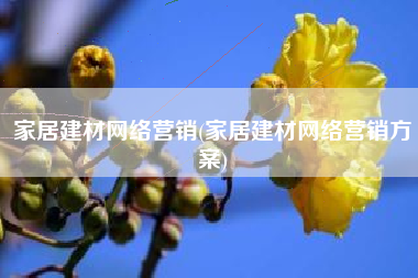 家居建材网络营销(家居建材网络营销方案)
