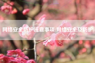 网络安全防护注意事项(网络安全及防护)