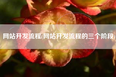 网站开发流程(网站开发流程的三个阶段)