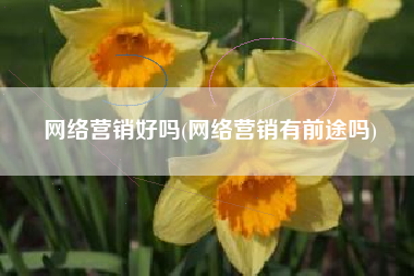 网络营销好吗(网络营销有前途吗)