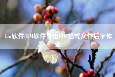 km软件(KM软件导出PDF格式文件后字体变)