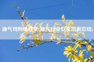 油气司网络安全(油气行业安全培训总结)