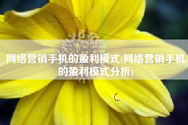 网络营销手机的盈利模式(网络营销手机的盈利模式分析)