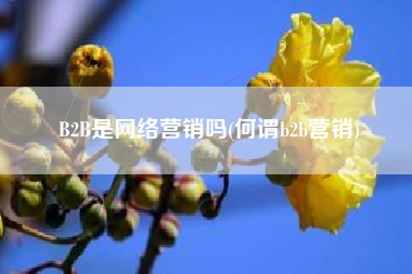 B2B是网络营销吗(何谓b2b营销)