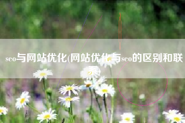 seo与网站优化(网站优化与seo的区别和联系)