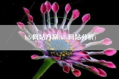 b2c网站方案(b2c网站分析)