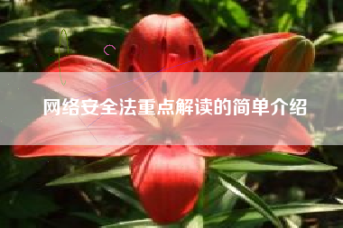 网络安全法重点解读的简单介绍