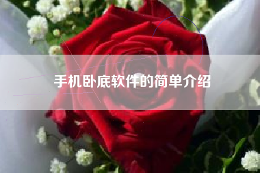 手机卧底软件的简单介绍