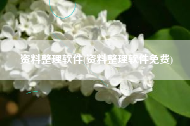 资料整理软件(资料整理软件免费)
