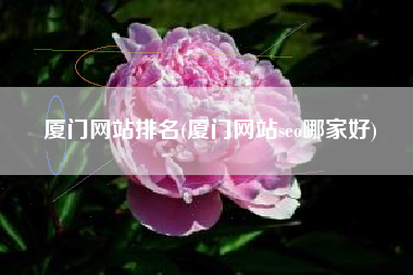厦门网站排名(厦门网站seo哪家好)