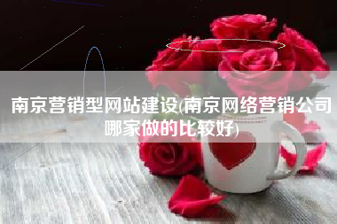南京营销型网站建设(南京网络营销公司哪家做的比较好)
