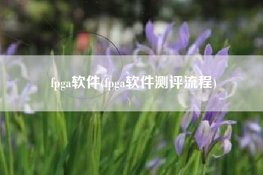 fpga软件(fpga软件测评流程)