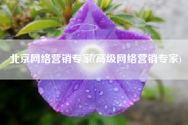 北京网络营销专家(高级网络营销专家)