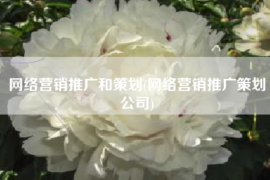 网络营销推广和策划(网络营销推广策划公司)