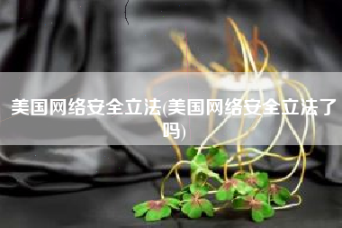 美国网络安全立法(美国网络安全立法了吗)