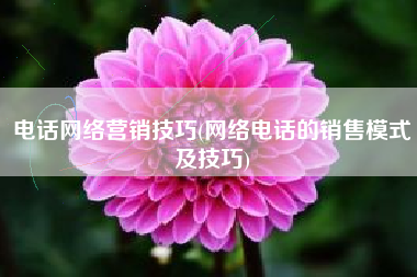 电话网络营销技巧(网络电话的销售模式及技巧)