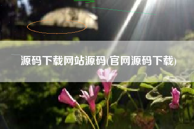 源码下载网站源码(官网源码下载)