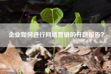 企业如何进行网络营销的开题报告？