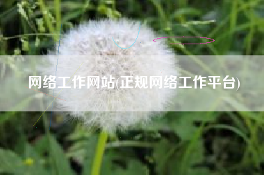 网络工作网站(正规网络工作平台)
