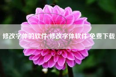 修改字体的软件(修改字体软件 免费下载)