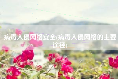 病毒入侵网络安全(病毒入侵网络的主要途径)