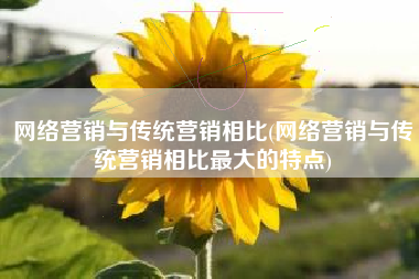 网络营销与传统营销相比(网络营销与传统营销相比最大的特点)