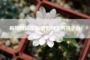 购物网站改版(新的网上购物平台)