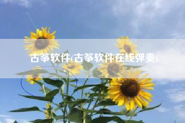 古筝软件(古筝软件在线弹奏)