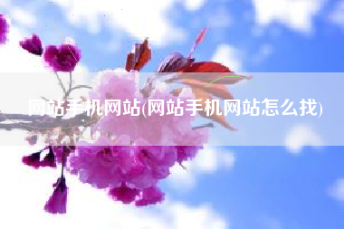 网站手机网站(网站手机网站怎么找)