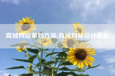 商城网站策划方案(商城网站设计模板)