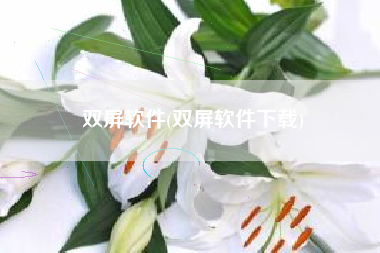 双屏软件(双屏软件下载)