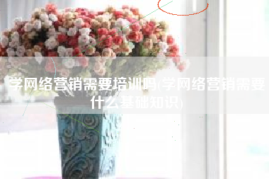 学网络营销需要培训吗(学网络营销需要什么基础知识)