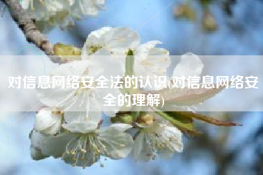 对信息网络安全法的认识(对信息网络安全的理解)