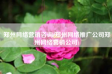 郑州网络营销咨询(郑州网络推广公司郑州网络营销公司)