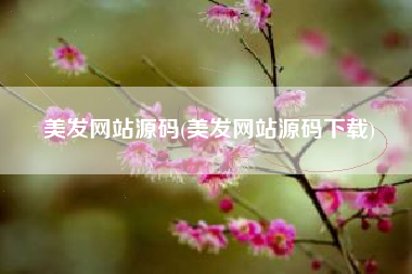 美发网站源码(美发网站源码下载)