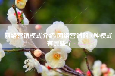 网络营销模式介绍(网络营销的10种模式有哪些?)