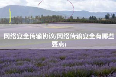 网络安全传输协议(网络传输安全有哪些要点)