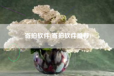 寄拍软件(寄拍软件推荐)