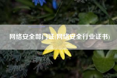 网络安全部门证(网络安全行业证书)