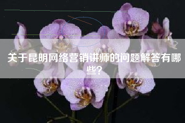 关于昆明网络营销讲师的问题解答有哪些？