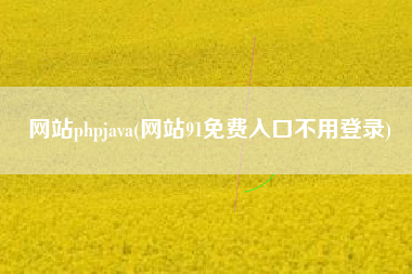 网站phpjava(网站91免费入口不用登录)