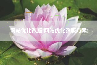 网站优化改版(网站优化改版方案)