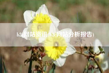 b2c网站资讯(b2c网站分析报告)