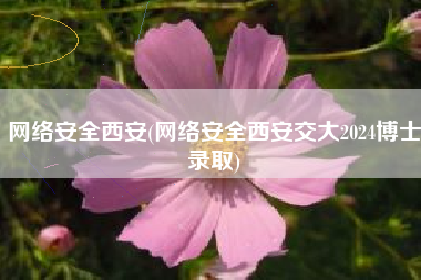 网络安全西安(网络安全西安交大2024博士录取)