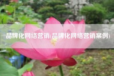 品牌化网络营销(品牌化网络营销案例)