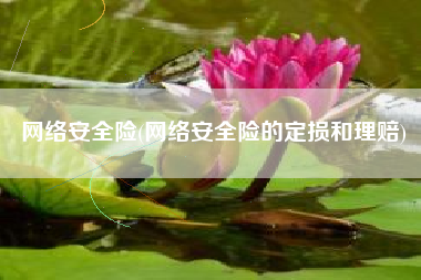 网络安全险(网络安全险的定损和理赔)