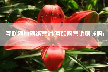 互联网加网络营销(互联网营销赚钱吗)
