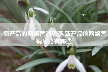 新产品的网络营销思路(新产品的网络营销思路有哪些)